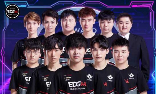 的网球选手 的网球选手